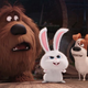 Illustration for article titled Chicago, see iThe Secret Life Of Pets/i early and for free
